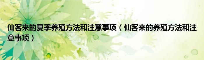 仙客来的夏季养殖方法和注意事项（仙客来的养殖方法和注意事项）