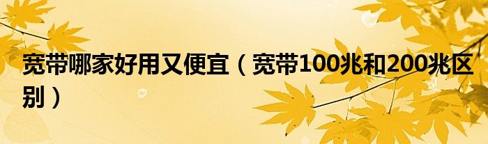 宽带哪家好用又便宜（宽带100兆和200兆区别）