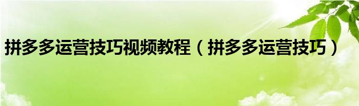 拼多多运营技巧视频教程（拼多多运营技巧）