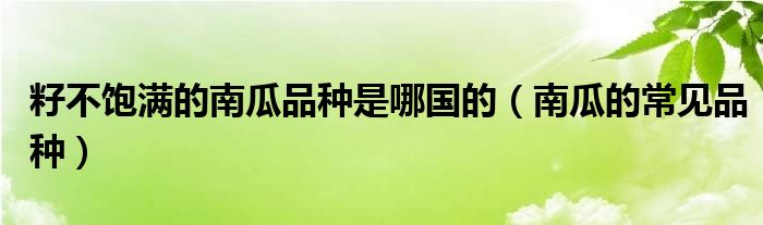 籽不饱满的南瓜品种是哪国的（南瓜的常见品种）