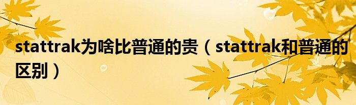 stattrak为啥比普通的贵（stattrak和普通的区别）