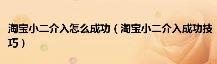 淘宝小二介入怎么成功（淘宝小二介入成功技巧）