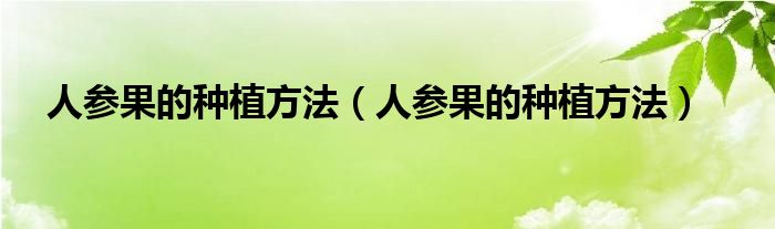 人参果的种植方法（人参果的种植方法）