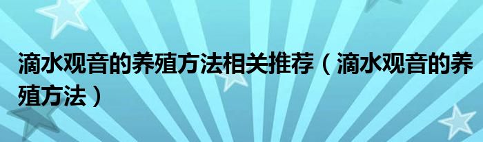 滴水观音的养殖方法相关推荐（滴水观音的养殖方法）