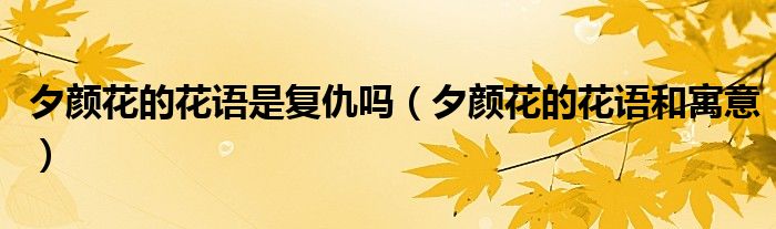 夕颜花的花语是复仇吗（夕颜花的花语和寓意）