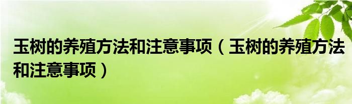 玉树的养殖方法和注意事项（玉树的养殖方法和注意事项）