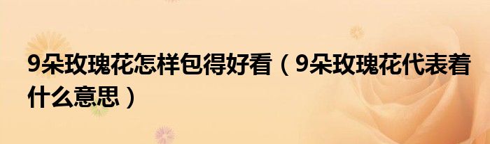 9朵玫瑰花怎样包得好看（9朵玫瑰花代表着什么意思）