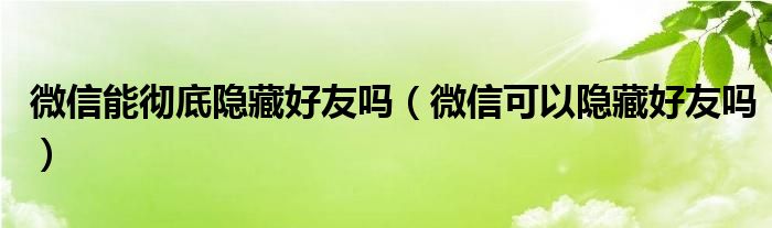 微信能彻底隐藏好友吗（微信可以隐藏好友吗）