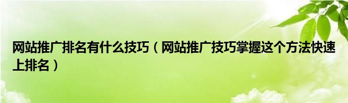 网站推广排名有什么技巧（网站推广技巧掌握这个方法快速上排名）