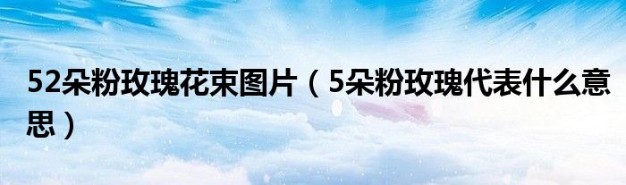 52朵粉玫瑰花束图片（5朵粉玫瑰代表什么意思）