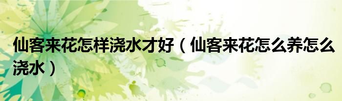 仙客来花怎样浇水才好（仙客来花怎么养怎么浇水）