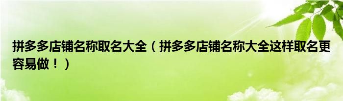 拼多多店铺名称取名大全（拼多多店铺名称大全这样取名更容易做！）