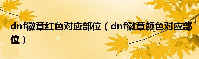 dnf徽章红色对应部位（dnf徽章颜色对应部位）