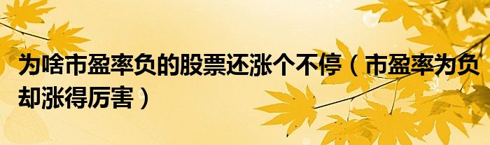 为啥市盈率负的股票还涨个不停（市盈率为负却涨得厉害）