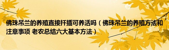 佛珠吊兰的养殖直接扦插可养活吗（佛珠吊兰的养殖方法和注意事项 老农总结六大基本方法）