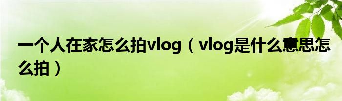 一个人在家怎么拍vlog（vlog是什么意思怎么拍）