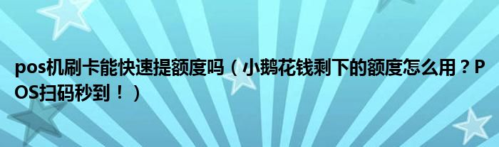 pos机刷卡能快速提额度吗（小鹅花钱剩下的额度怎么用？POS扫码秒到！）