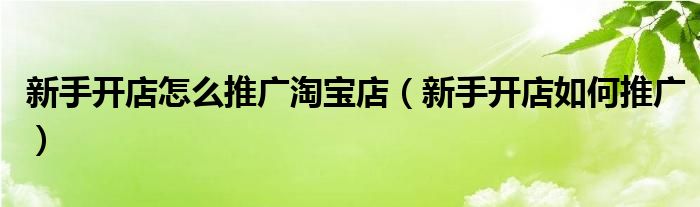 新手开店怎么推广淘宝店（新手开店如何推广）