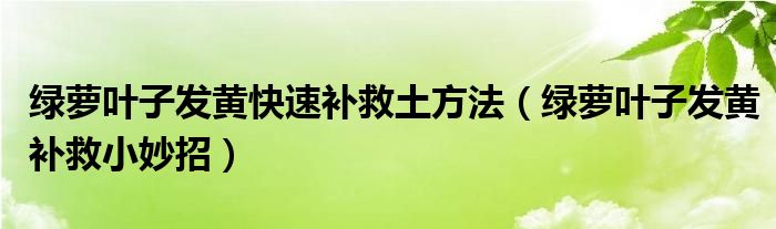 绿萝叶子发黄快速补救土方法（绿萝叶子发黄补救小妙招）