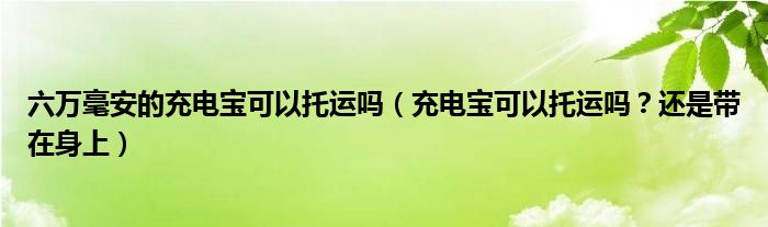 六万毫安的充电宝可以托运吗（充电宝可以托运吗？还是带在身上）