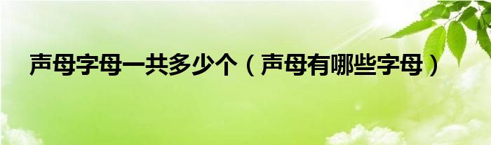 声母字母一共多少个（声母有哪些字母）