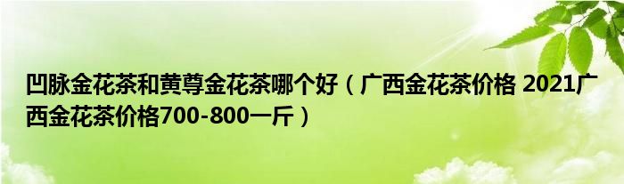 凹脉金花茶和黄尊金花茶哪个好（广西金花茶价格 2021广西金花茶价格700-800一斤）