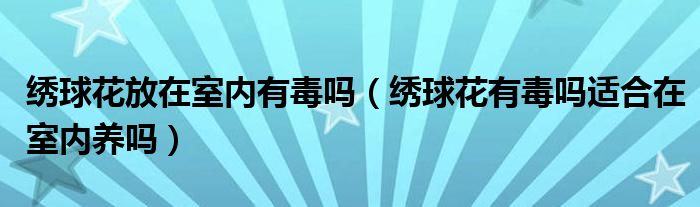 绣球花放在室内有毒吗（绣球花有毒吗适合在室内养吗）