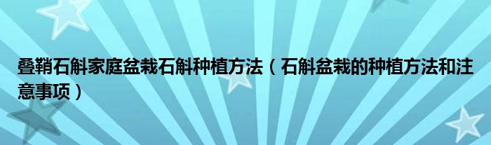 叠鞘石斛家庭盆栽石斛种植方法（石斛盆栽的种植方法和注意事项）