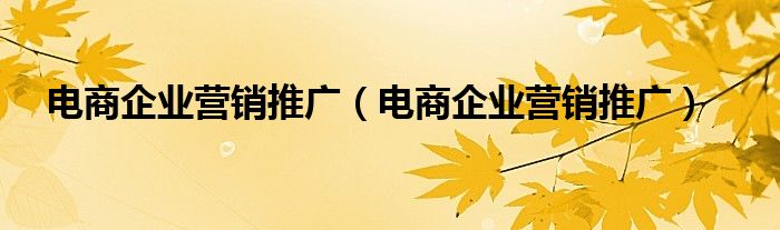 电商企业营销推广（电商企业营销推广）