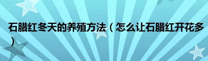 石腊红冬天的养殖方法（怎么让石腊红开花多）