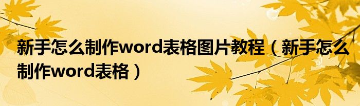 新手怎么制作word表格图片教程（新手怎么制作word表格）