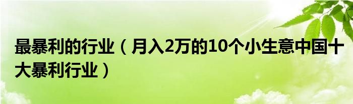 最暴利的行业（月入2万的10个小生意中国十大暴利行业）