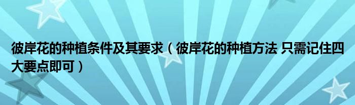 彼岸花的种植条件及其要求（彼岸花的种植方法 只需记住四大要点即可）