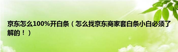 京东怎么100%开白条（怎么找京东商家套白条小白必须了解的！）