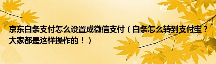 京东白条支付怎么设置成微信支付（白条怎么转到支付宝？大家都是这样操作的！）