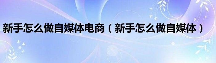 新手怎么做自媒体电商（新手怎么做自媒体）