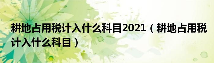 耕地占用税计入什么科目2021（耕地占用税计入什么科目）