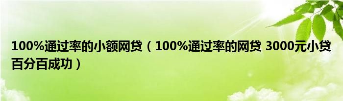 100%通过率的小额网贷（100%通过率的网贷 3000元小贷百分百成功）