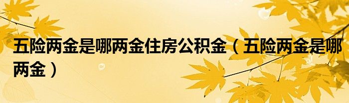 五险两金是哪两金住房公积金（五险两金是哪两金）