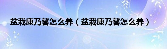 盆栽康乃馨怎么养（盆栽康乃馨怎么养）