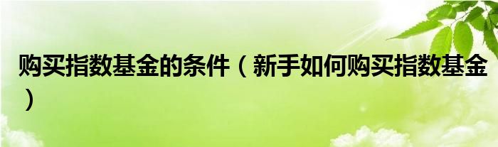 购买指数基金的条件（新手如何购买指数基金）