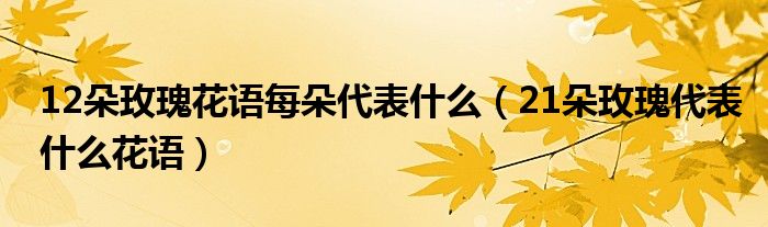 12朵玫瑰花语每朵代表什么（21朵玫瑰代表什么花语）