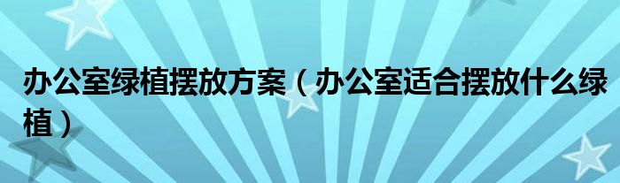 办公室绿植摆放方案（办公室适合摆放什么绿植）