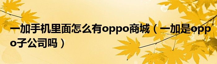 一加手机里面怎么有oppo商城（一加是oppo子公司吗）