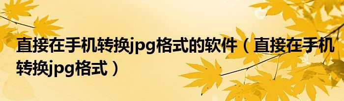 直接在手机转换jpg格式的软件（直接在手机转换jpg格式）