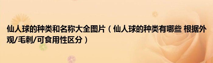 仙人球的种类和名称大全图片（仙人球的种类有哪些 根据外观/毛刺/可食用性区分）