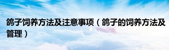 鸽子饲养方法及注意事项（鸽子的饲养方法及管理）