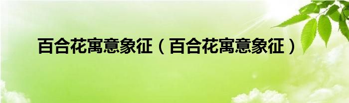 百合花寓意象征（百合花寓意象征）