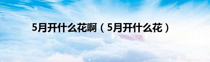 5月开什么花啊（5月开什么花）