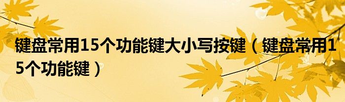 键盘常用15个功能键大小写按键（键盘常用15个功能键）